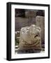 Stone Relief Depicting Lion, Roman Temple of Jupiter-null-Framed Giclee Print