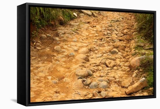 Stone Road-null-Framed Stretched Canvas