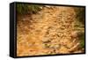 Stone Road-null-Framed Stretched Canvas