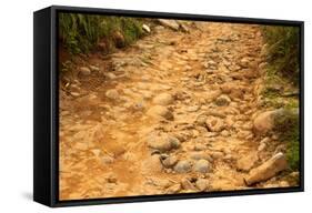 Stone Road-null-Framed Stretched Canvas