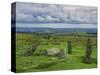 Stone Row at Stall Moor, Dartmoor National Park, Devon, England, United Kingdom, Europe-Woolfitt Adam-Stretched Canvas