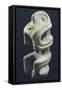 Stone Sculpture known as the Petitioner, Originating from Argentina-null-Framed Stretched Canvas