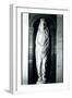 Stone Sculpture of John Donne in his Shroud-null-Framed Giclee Print