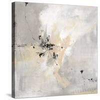 Stone Sky-Joshua Schicker-Stretched Canvas