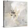 Stone Sky-Joshua Schicker-Stretched Canvas