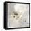 Stone Sky-Joshua Schicker-Framed Stretched Canvas