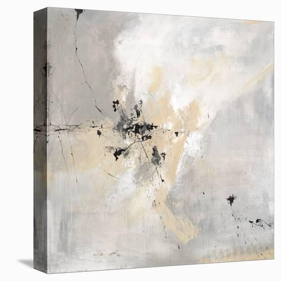 Stone Sky-Joshua Schicker-Stretched Canvas