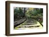 Stone Staircase with A Moss.-fpdress-Framed Photographic Print