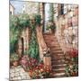 Stone Stairway Petites B-Roger Duvall-Mounted Art Print