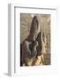 Stone statue in the Inner City of Baku, Azerbaijan-Keren Su-Framed Photographic Print