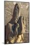 Stone statue in the Inner City of Baku, Azerbaijan-Keren Su-Mounted Photographic Print