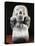 Stone Statue of Goddess of Dead Mictecacihuatl-null-Stretched Canvas