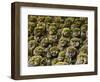 Stone Statues in Otagi Nebutsuji Temple in Kyoto-Rudy Sulgan-Framed Photographic Print