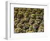 Stone Statues in Otagi Nebutsuji Temple in Kyoto-Rudy Sulgan-Framed Photographic Print