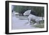 Stone Statues of Animals Along Sacred Way or Spirit Way Leading to Tombs of Ming Emperors Beijing-null-Framed Giclee Print
