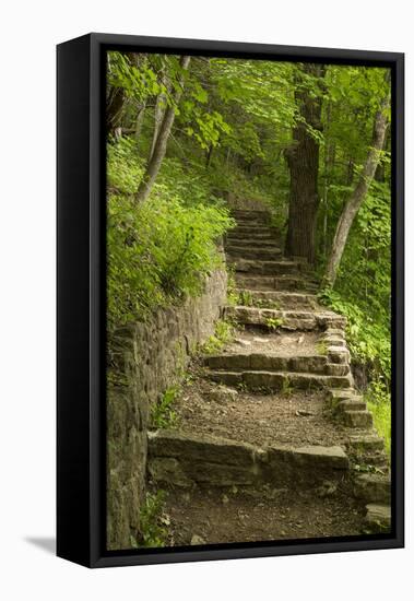 Stone Step Trail-johnsroad7-Framed Stretched Canvas