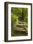 Stone Step Trail-johnsroad7-Framed Photographic Print