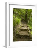 Stone Step Trail-johnsroad7-Framed Photographic Print