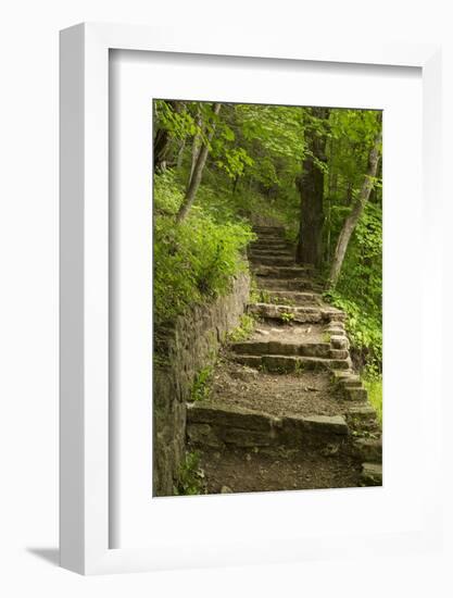 Stone Step Trail-johnsroad7-Framed Photographic Print