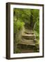 Stone Step Trail-johnsroad7-Framed Photographic Print