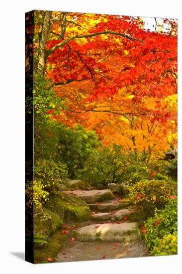 Stone Steps in a Forest in Autumn, Washington State, USA-null-Stretched Canvas