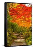 Stone Steps in a Forest in Autumn, Washington State, USA-null-Framed Stretched Canvas