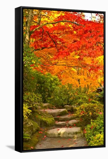 Stone Steps in a Forest in Autumn, Washington State, USA-null-Framed Stretched Canvas