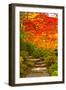 Stone Steps in a Forest in Autumn, Washington State, USA-null-Framed Premium Photographic Print