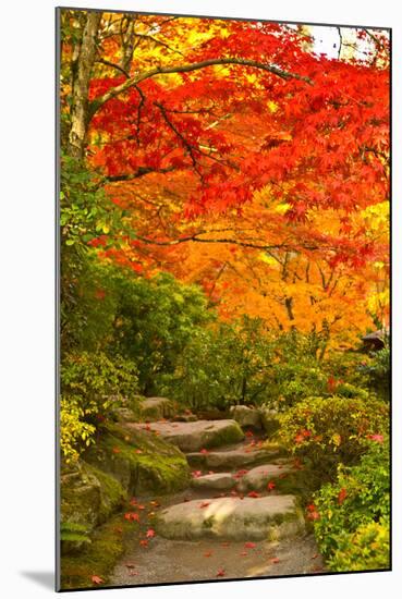 Stone Steps in a Forest in Autumn, Washington State, USA-null-Mounted Premium Photographic Print