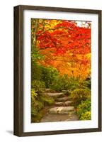 Stone Steps in a Forest in Autumn, Washington State, USA-null-Framed Photographic Print