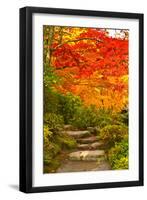 Stone Steps in a Forest in Autumn, Washington State, USA-null-Framed Photographic Print