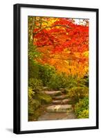 Stone Steps in a Forest in Autumn, Washington State, USA-null-Framed Photographic Print