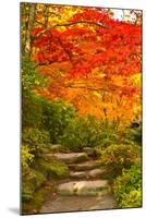 Stone Steps in a Forest in Autumn, Washington State, USA-null-Mounted Photographic Print