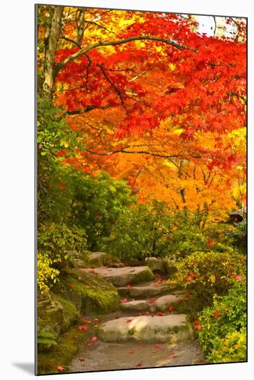 Stone Steps in a Forest in Autumn, Washington State, USA-null-Mounted Photographic Print