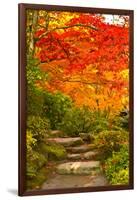 Stone Steps in a Forest in Autumn, Washington State, USA-null-Framed Photographic Print