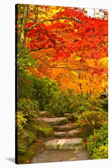 Stone Steps in a Forest in Autumn, Washington State, USA-null-Stretched Canvas