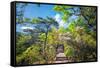 Stone Steps Leading into the Lush Natural Environment with Trees and Blossoms of Tian Mu Shan-Andreas Brandl-Framed Stretched Canvas