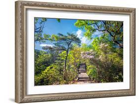 Stone Steps Leading into the Lush Natural Environment with Trees and Blossoms of Tian Mu Shan-Andreas Brandl-Framed Photographic Print