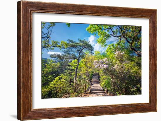 Stone Steps Leading into the Lush Natural Environment with Trees and Blossoms of Tian Mu Shan-Andreas Brandl-Framed Photographic Print