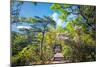 Stone Steps Leading into the Lush Natural Environment with Trees and Blossoms of Tian Mu Shan-Andreas Brandl-Mounted Photographic Print
