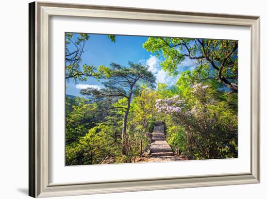 Stone Steps Leading into the Lush Natural Environment with Trees and Blossoms of Tian Mu Shan-Andreas Brandl-Framed Photographic Print