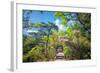 Stone Steps Leading into the Lush Natural Environment with Trees and Blossoms of Tian Mu Shan-Andreas Brandl-Framed Photographic Print