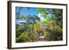 Stone Steps Leading into the Lush Natural Environment with Trees and Blossoms of Tian Mu Shan-Andreas Brandl-Framed Photographic Print