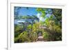 Stone Steps Leading into the Lush Natural Environment with Trees and Blossoms of Tian Mu Shan-Andreas Brandl-Framed Photographic Print