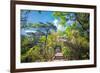 Stone Steps Leading into the Lush Natural Environment with Trees and Blossoms of Tian Mu Shan-Andreas Brandl-Framed Photographic Print