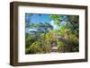 Stone Steps Leading into the Lush Natural Environment with Trees and Blossoms of Tian Mu Shan-Andreas Brandl-Framed Photographic Print