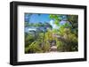 Stone Steps Leading into the Lush Natural Environment with Trees and Blossoms of Tian Mu Shan-Andreas Brandl-Framed Photographic Print