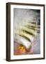 Stone Steps-Ursula Abresch-Framed Photographic Print