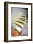 Stone Steps-Ursula Abresch-Framed Photographic Print