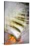 Stone Steps-Ursula Abresch-Stretched Canvas